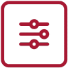 customized IT Solutions